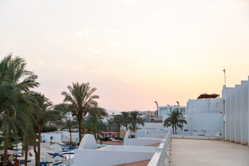 Fototapeta premium Green date palms on site next to the sea.