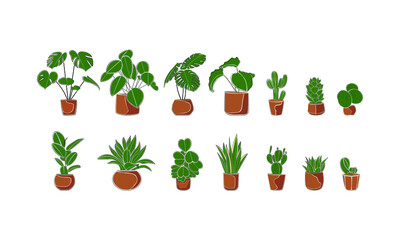 A set of ornamental houseplants. Plants in the interior decoration of the pot and nature home-made flowers. Vector illustration
