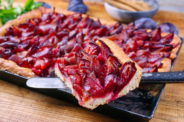 Traditional German Zwetschgenkuchen with sliced plums served as close-up on a rustic backing sheet on a wooden board