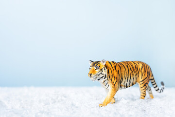 Tiger symbol of the Chinese new year 2022. Figurine of tiger in snow on blue background. Christmas...