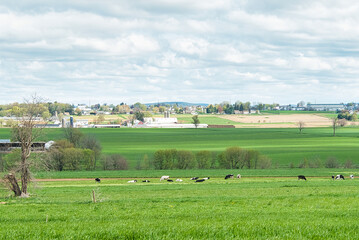 View of Farm Countryside With Blue Sky and White Clouds on a Spring Day