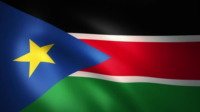 Flag of South Sudan Waving in the Wind (CG | LOOP)