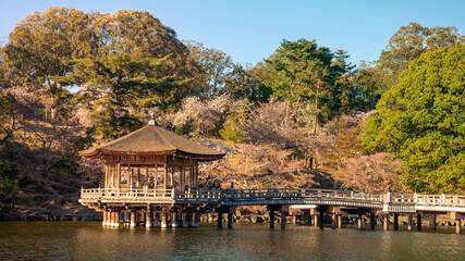 Fototapeta na wymiar Ukimi-do hall above the pond in Nara park during sakura blossoms. Temple Japan