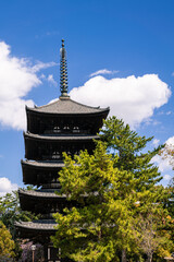 View of five storied pagoda of Kofukuji Temple in Nara. Beauty Japan cityscape