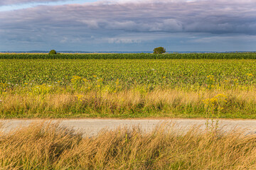 Fototapeta premium View of the countryside near Mont Saint Michel, between Normadia and Brittany, in France