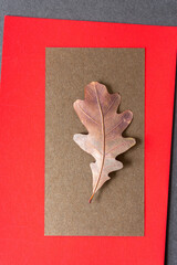 isolated oak leaf on bronze and red paper 