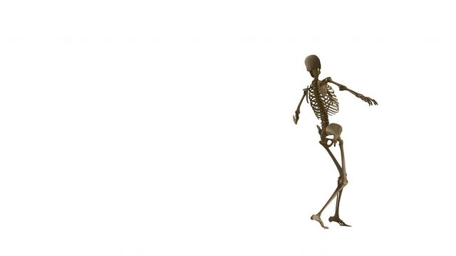Skeleton Dance 4K. Looped. Alpha channel included.
