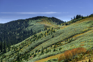 初秋の会津駒ヶ岳