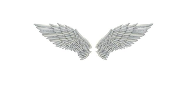 Fluffy white 3D animated angel wings flapping on a green screen background alpha footage included