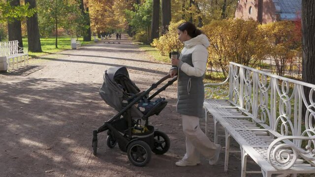 Mother with baby stroller on a walk in the park in autumn, mom sitting on park bench in Catherine Park in the town of Tsarskoye Selo, Pushkin. High quality 4k footage