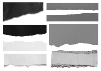 Collection of torn paper isolated on white background.