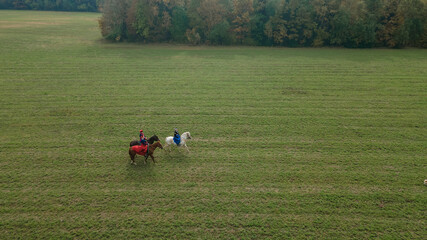 Aerial view of group of fox hunters on the horses in the autumn field. Equestrian riding sport in a...