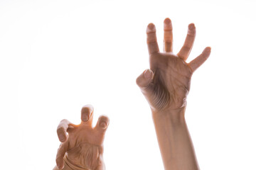 Zombie hands attack, grabbing something hands with crooked fingers. Hand gestures isolated on white