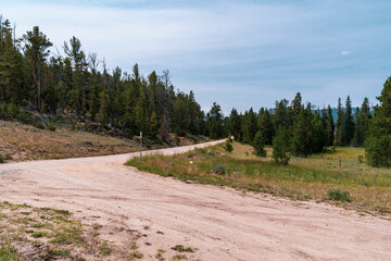 Dirt road leading to Fiddlers Lake outside of Lander Wyoming