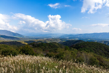 日本の岡山県真庭市の蒜山高原の美しい風景
