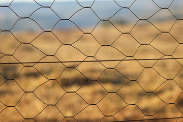 Fototapeta premium Plano de Fundo