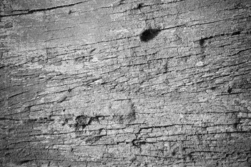 Old wood background.