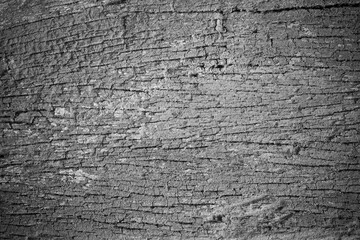 Old wood background.