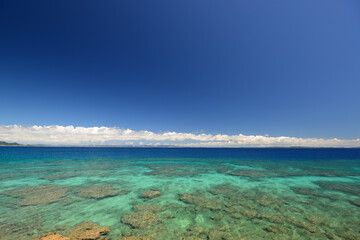 Fototapeta na wymiar 沖縄の美しい海辺