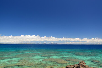 沖縄の美しい海辺
