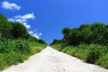 Fototapeta na wymiar 沖縄の美しい風景