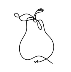 Drawing line pear on the white background. Vector