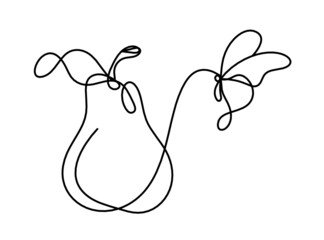 Drawing line pear on the white background. Vector
