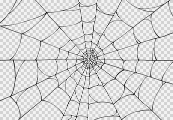 Obraz premium Halloween party background with spiderwebs isolated png or transparent texture,blank space for text,element template for poster,brochures, online advertising,vector illustration