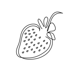 Drawing line strawberry on the white background. Vector