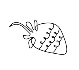Drawing line strawberry on the white background. Vector