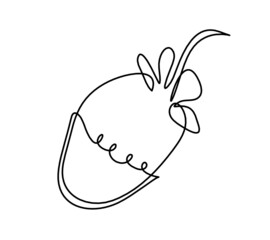 Drawing line strawberry on the white background. Vector