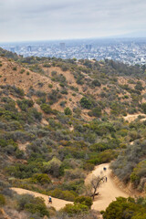 Hiking trails in the Hollywood hills with downtown Los Angeles CA in the background