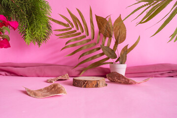 composition ideas concept featuring products. round wood on a pink background decorated with , dry...