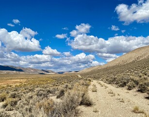 landscape with blue sky and clouds
