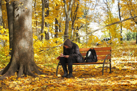 A Student Is Engaged While Sitting On A Bench In The Park In Autumn In Good Weather.