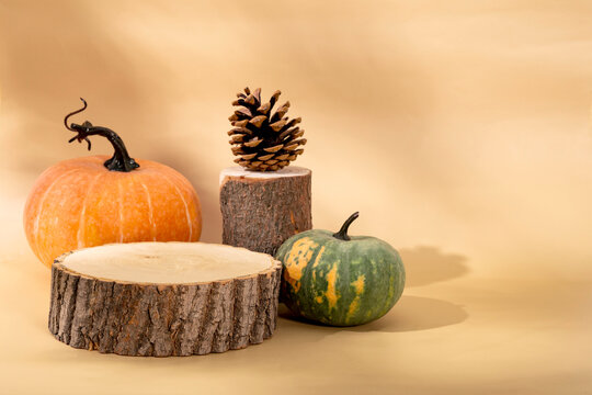 Autumn pumpkins and wooden podiums. Autumn Halloween concept, photo with free space for text