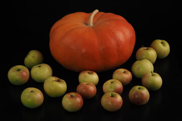 Autumn harvest. Ripe round pumpkin and apples on a black background. Halloween.