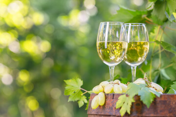 two glasses of white wine on wooden barrel in garden