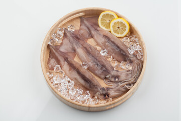 오징어,요리,음식,음식재료,재료,해산물,날것,맛,사람없음,스튜디오,신선,실내,얼음,오브젝트