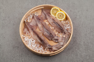 오징어,요리,음식,음식재료,재료,해산물,날것,맛,사람없음,스튜디오,신선,실내,얼음,오브젝트