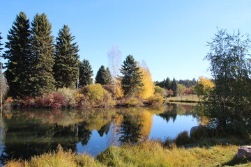 Fototapeta na wymiar Autumn Shadow, William Hawrelak Park, Edmonton, Alberta