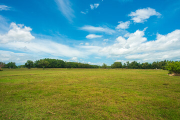 Obraz premium blue sky and white clouds.