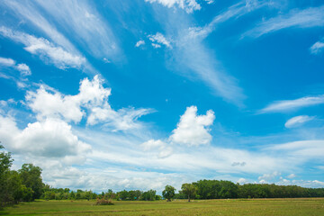 Fototapeta na wymiar blue sky and white clouds.