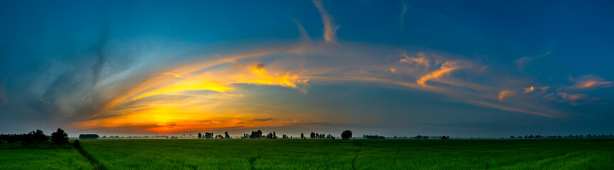 Panorama beautiful sunset with dark cloud over rice field in Thailand.blue sky with clouds.Vivid...