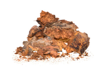 rotten tree isolated on white background