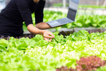 Organic radishes on farms that meet quality standards