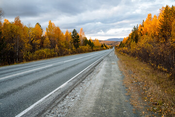 Straight asphalt road to the mountains, on both sides of the road autumn golden forest. Travel by car, walk through the autumn forest, clean air.
