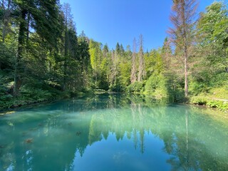 Small forest spring Čogrljevo Lake or Čogrlje's Lake in the hamlet of Tići - Gorski kotar, Croatia (Goransko šumsko jezerce i izvor Čogrljevo jezero u zaselku Tići - Gorski kotar, Hrvatska)