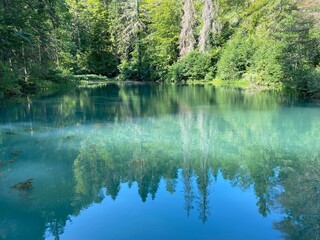 Small forest spring Čogrljevo Lake or Čogrlje's Lake in the hamlet of Tići - Gorski kotar, Croatia (Goransko šumsko jezerce i izvor Čogrljevo jezero u zaselku Tići - Gorski kotar, Hrvatska)