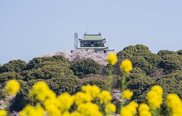 春の小牧山城